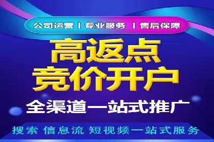 百度推广渠道拓展，成功案例分析
